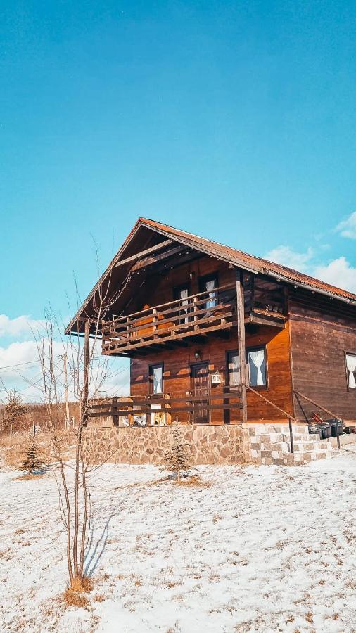The Wooden Nest -Covasna Villa Exterior photo